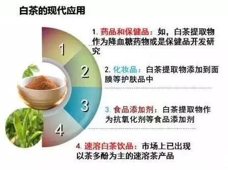 福芒果体育鼎白茶凭什么成为中国茶叶区域公用品牌价值十强之一？(图8)