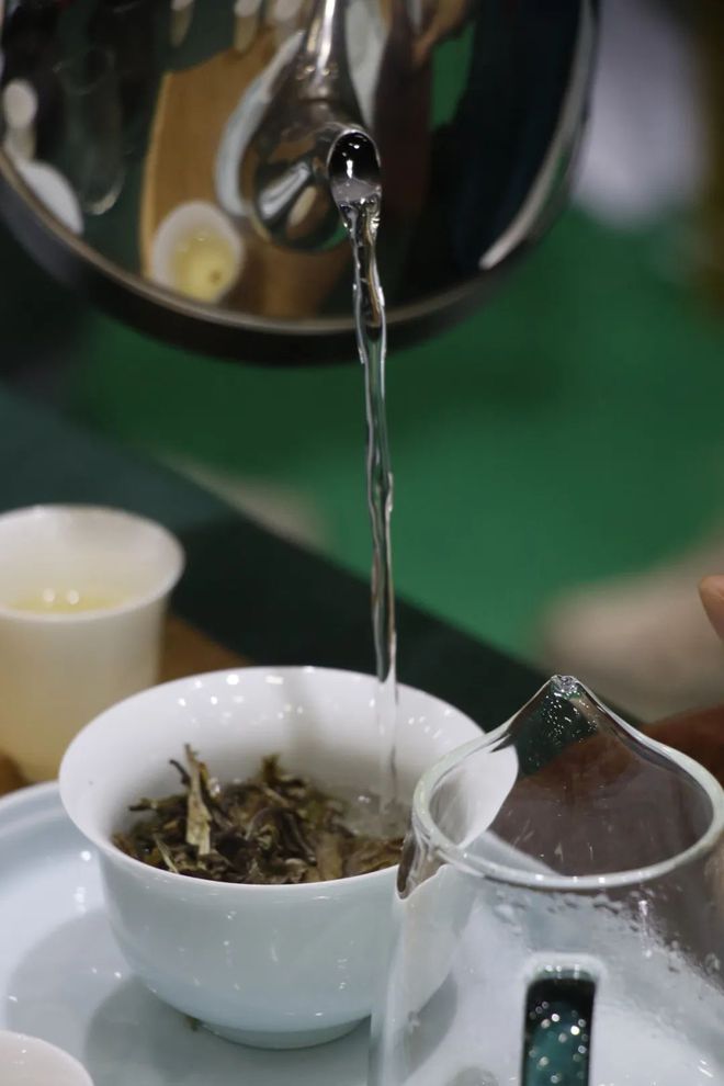 芒果体育十万一公斤的云南白茶你喝过吗？(图6)