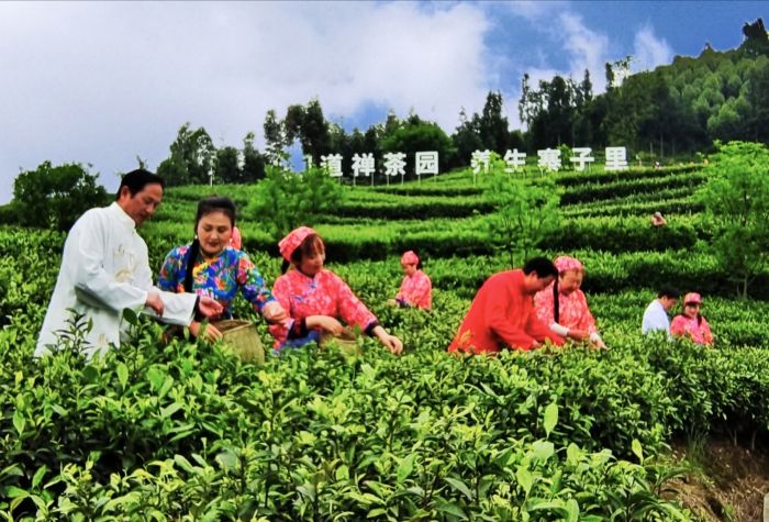 芒果体育峨眉山市12茶企集中亮相国际绿茶大会 向世界展示高山高端绿茶风采(图2)