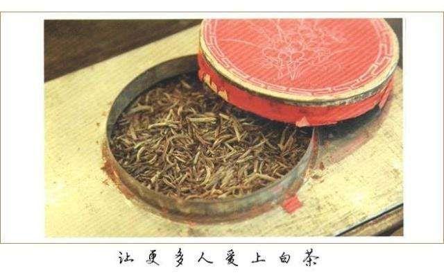 芒果体育白茶成为国际“宠儿”这“中国功夫”打的杠杠的！(图5)