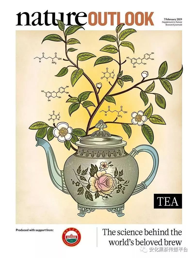 世界科学权威期刊 《自然》杂志推介中国茶及黑茶功效芒果体育(图1)