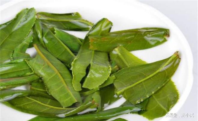 六安瓜片为什么叫瓜片! 为什么说六芒果体育安是中国最特殊的绿茶!(图3)