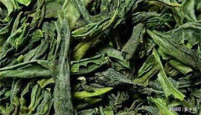 六安瓜片为什么叫瓜片! 为什么说六芒果体育安是中国最特殊的绿茶!(图4)