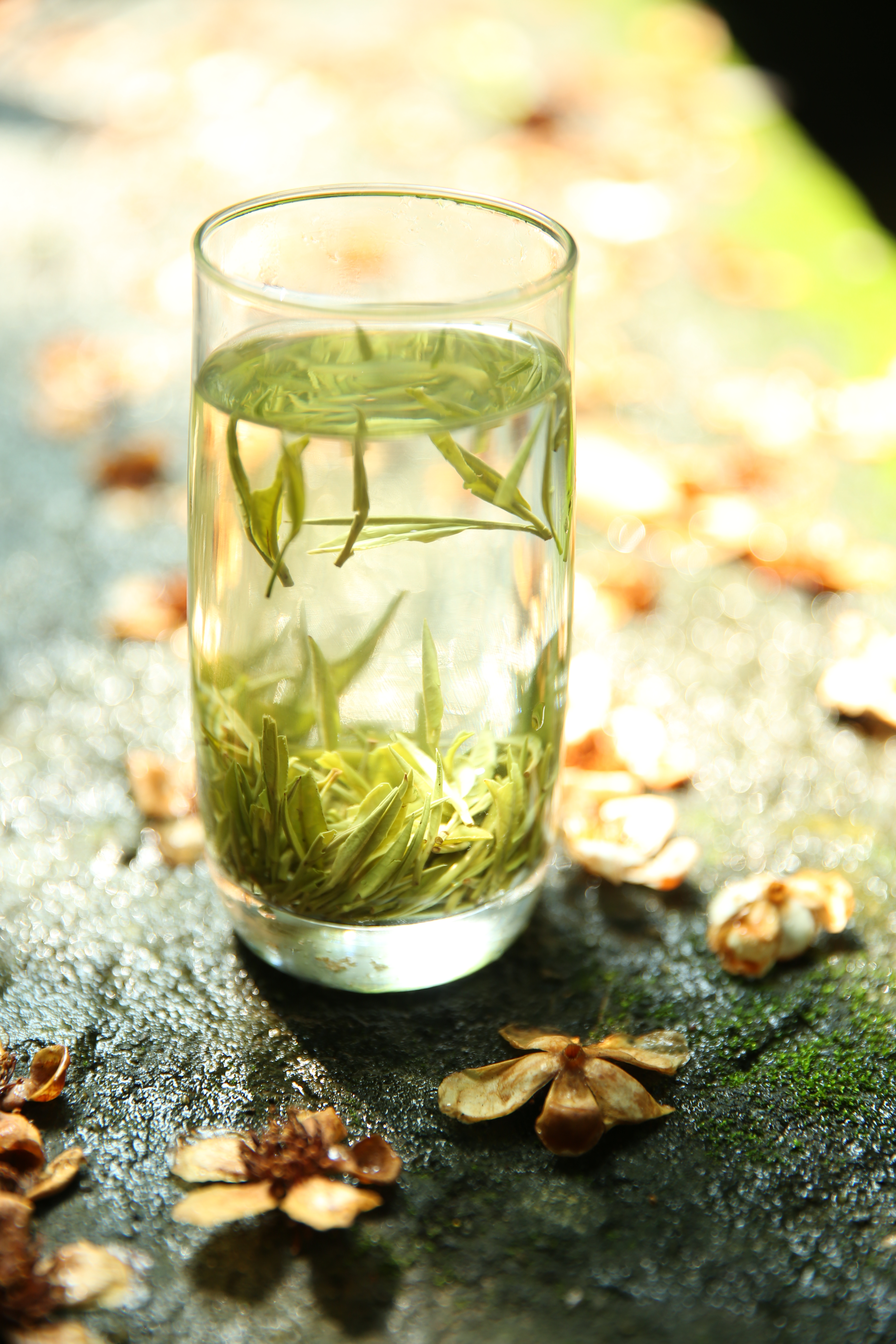 芒果体育卫星：普洱茶可提神亦有助于睡眠具有多种保健功效